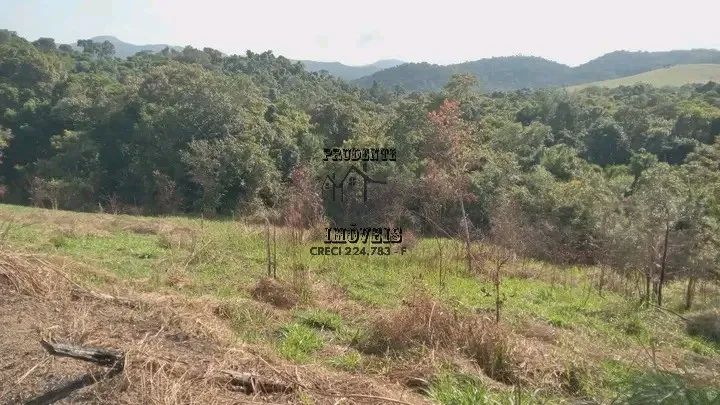 SÍTIO COMERCIAL em MIRACATU - SP, RURAL - Foto 4