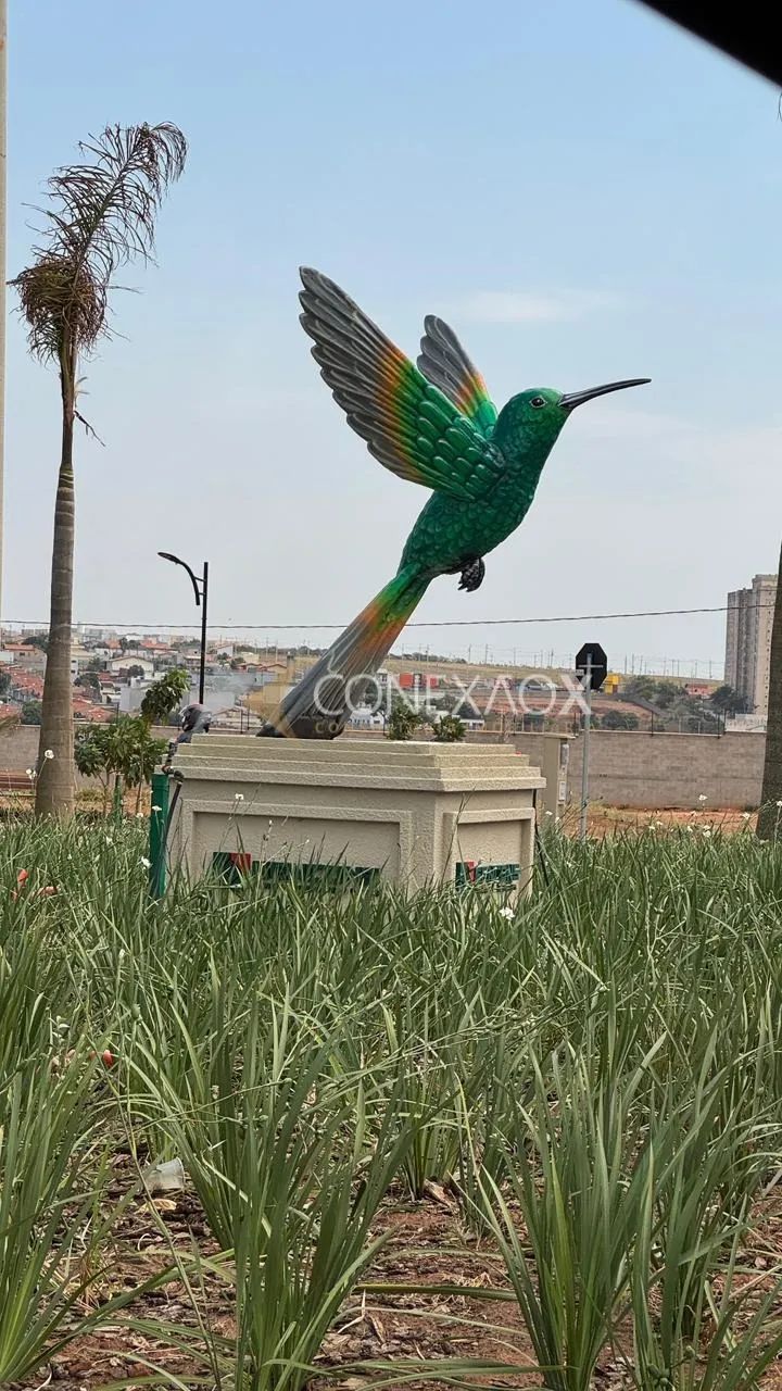 terreno - Nossa Senhora Aparecida - Paulínia - Foto 4