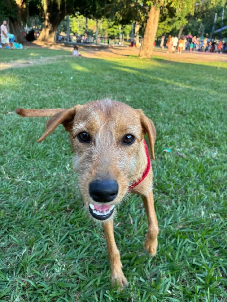 Doação - Foto 4