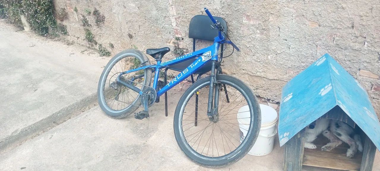 Bike modelo Trust 