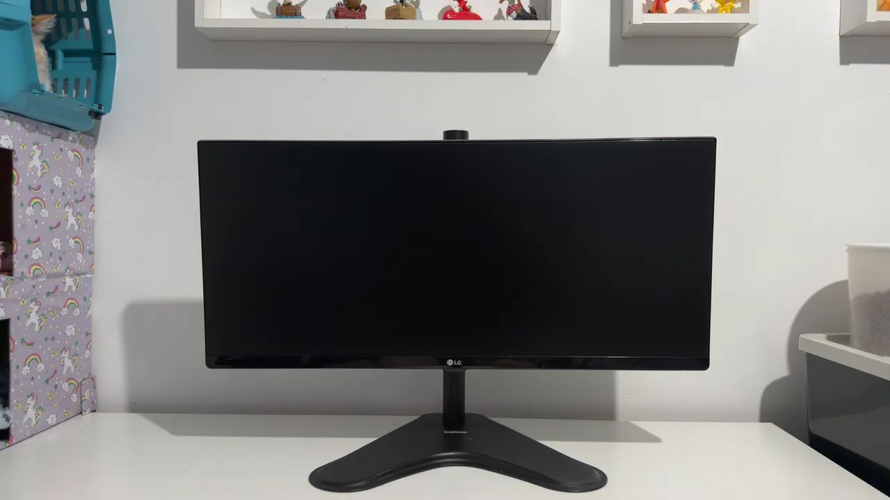 Monitor 29? LG Ultrawide 