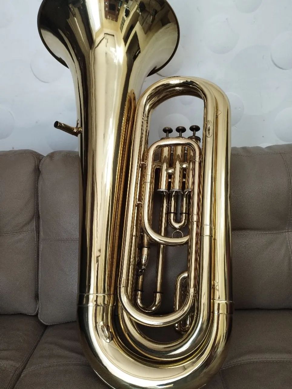 Tuba weril  - Foto 4