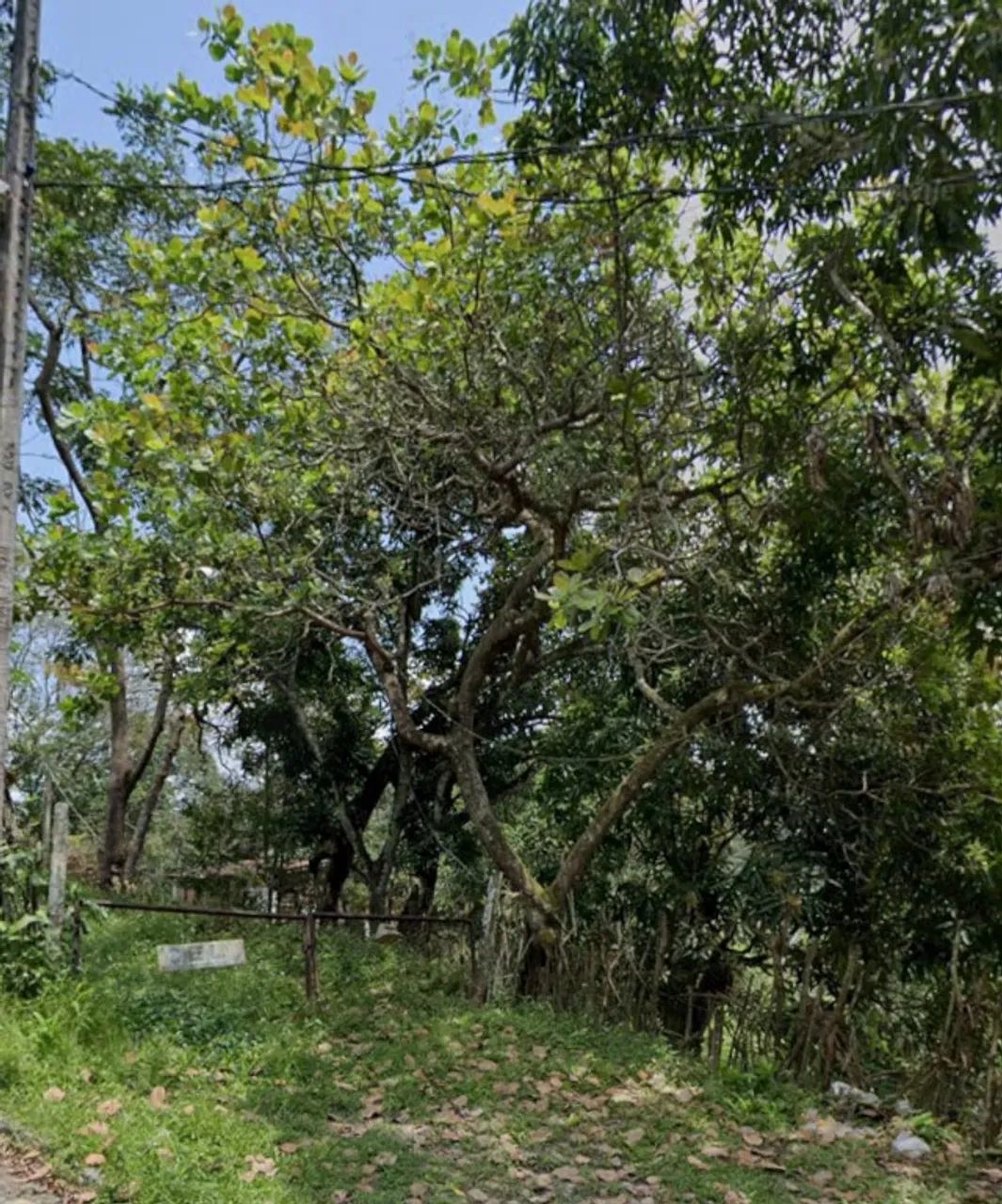Chácara/Sítio, Rural - 12000m² - Foto 3