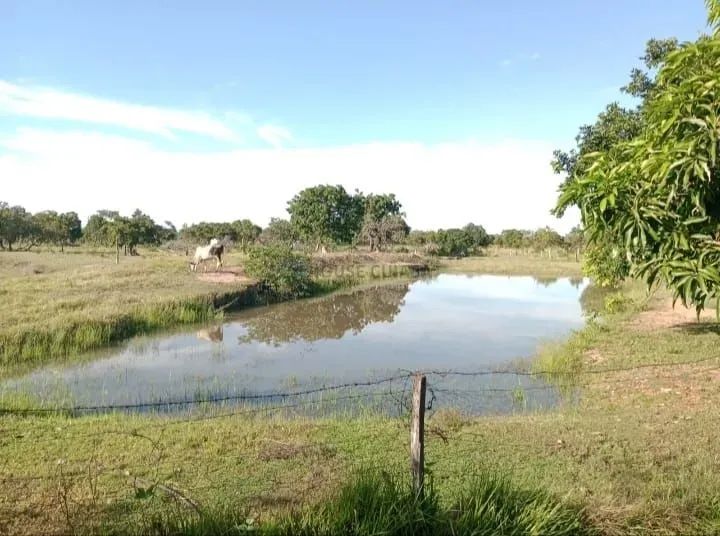 Sítio de 9,6 hectares na região do município de PoconéMT - Foto 4