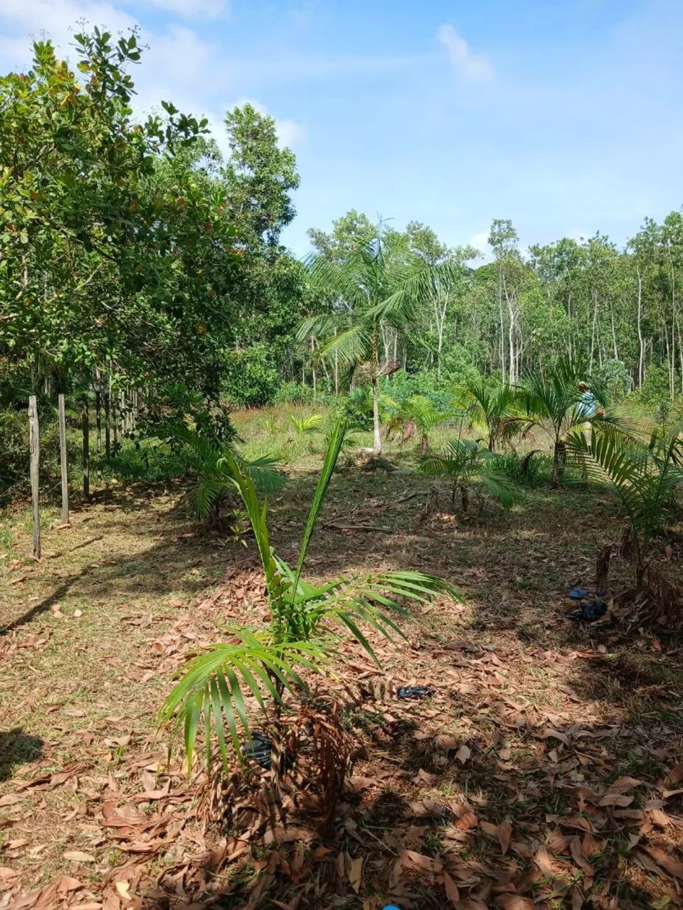 Venda de Terreno  - Foto 2