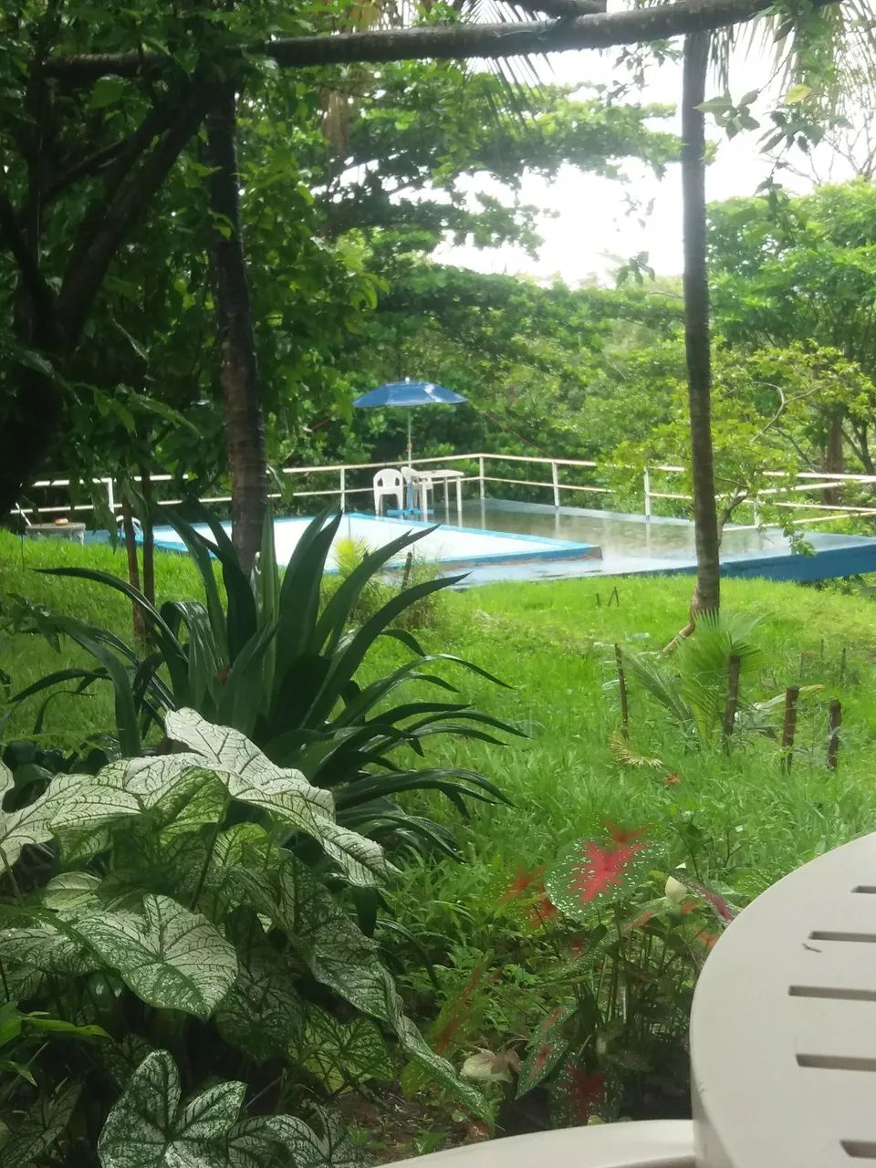 Sítio Urbano Aragarças Praia  - Foto 3