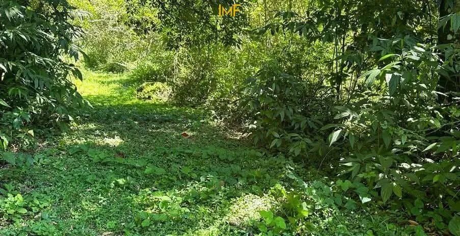 Sitio com 110.000m² - Foto 2
