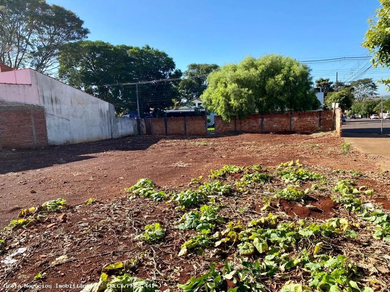 Terreno para Venda em Campo Mourão, Centro - Foto 3