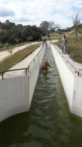 Haras 45 Ha Esmeraldas - Foto 19