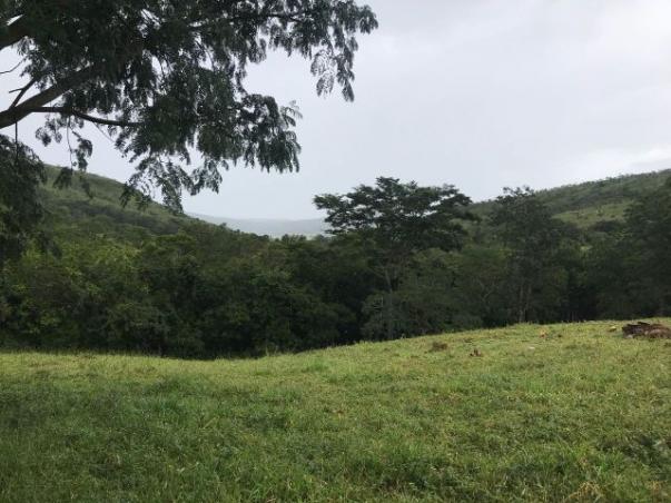 86 Alq 140 km de Goiânia - Foto 18