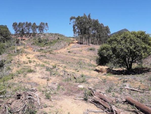 Sítio Localizado na Estrada Geral, Alto Braço Baú, 45 mil m² - Foto 8