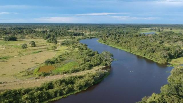 Fazenda 9.715 hectares no pantanal de Poconé MT - Foto 7