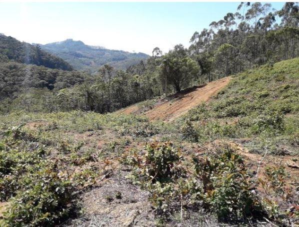 Sítio Localizado na Estrada Geral, Alto Braço Baú, 45 mil m² - Foto 6