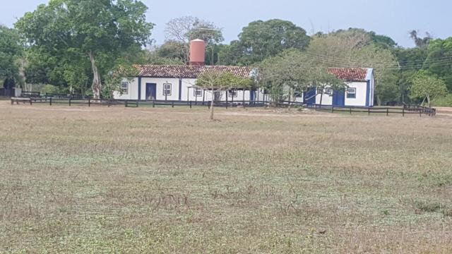 Fazenda 9.715 hectares no pantanal de Poconé MT - Foto 3
