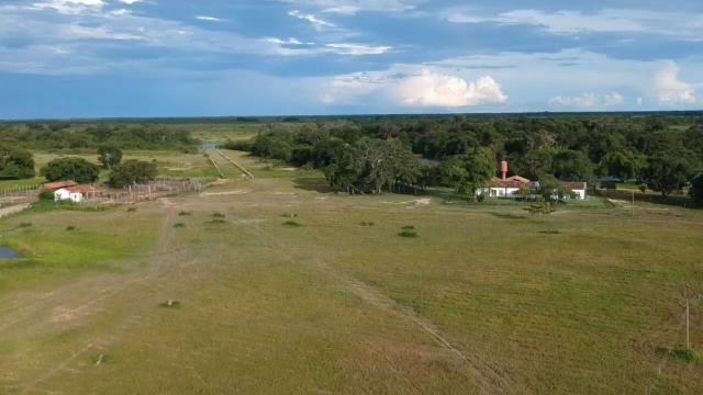 Fazenda 9.715 hectares no pantanal de Poconé MT - Foto 6