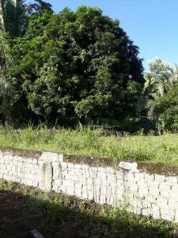 Sítio serra são vicente - Foto 9