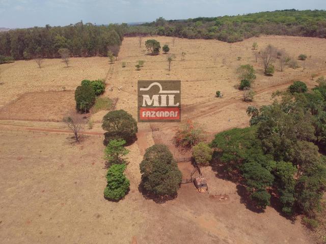 Chácara 10.5 Alqueires ( 50.82 ha ) Leopoldo de Bulhões-GO - Foto 6