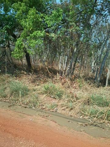 Vendo terreno próximo ao condomínio florais da mata - Foto 2