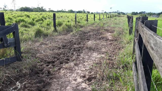 Fazenda no Acre - Foto 6