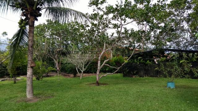 Chácara, Zona Rural, São Gonçalo dos Campos-BA - Foto 12