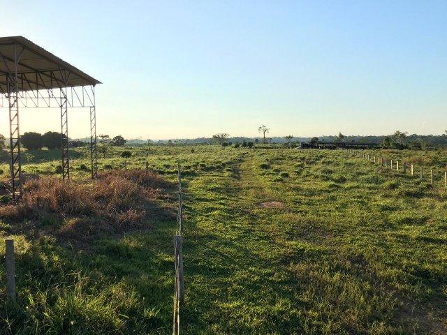 Fazenda no Acre - Foto 5