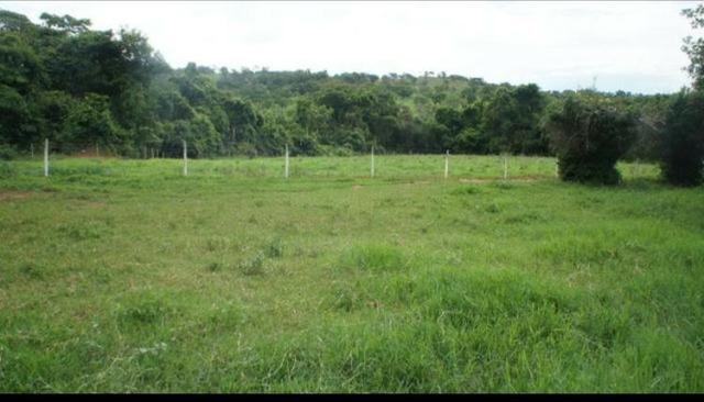 Fazenda 225 km de Goiânia município de Ipameri - Foto 4