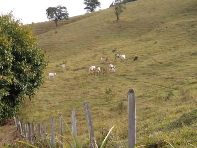 Linda Fazenda no Vale do Paraiba, porteira fechada - Cód 1505 - Foto 5