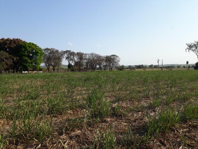 Lote para chácara 30.000m2 - Foto 3