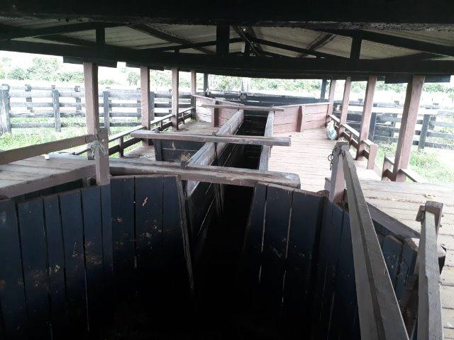 Fazenda no Acre - Foto 7
