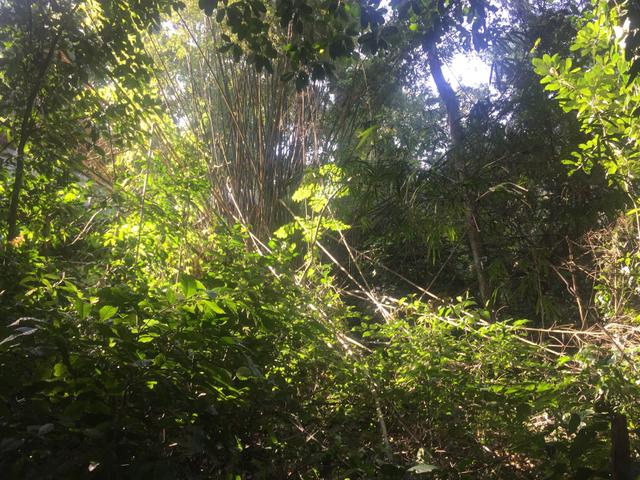 Raridade // Terreno 1510m2 vista para mar. //Urgente// Mais barato do Rio - Foto 2