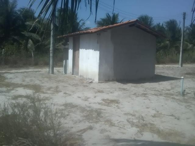 16 Ha irrigado Baixa Acaraú próximo do Marco - Foto 11