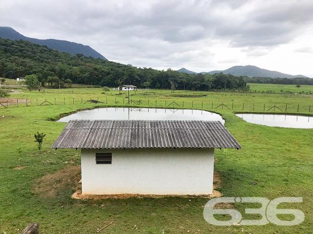 Chácara à venda com 3 dormitórios em Vila nova, Joinville cod:01028884 - Foto 17