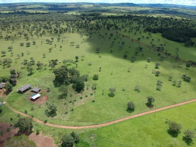 Fazenda 16,5 Alq - 50km de Goiânia - Hidrolândia - Entrada exclusiva - a 4 km da Rodovia
