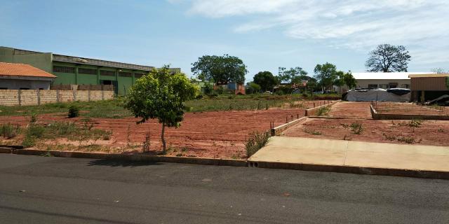 Terreno 10x31