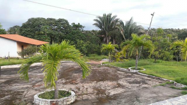Sitio na zona Rural de sao luis - Foto 2