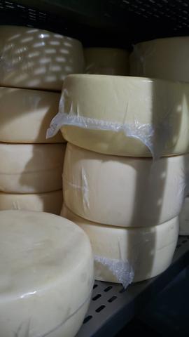 Queijo parmesão meia cura 6kg