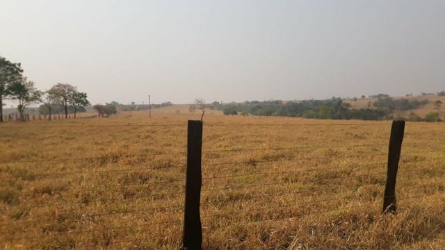 Fazenda no município de Edeia - GO - Foto 4