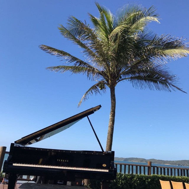 Pianos para locação 
