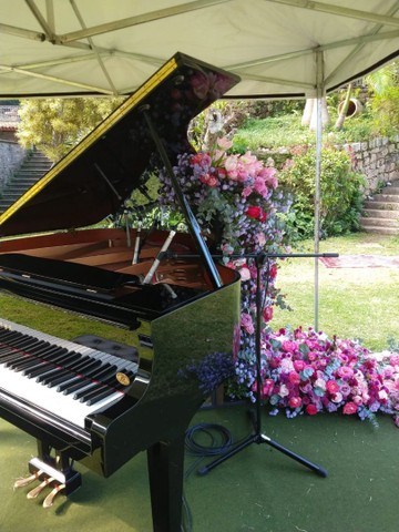 Pianos para locação  - Foto 5
