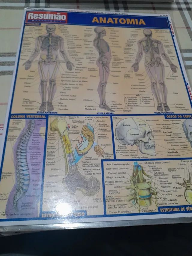 Apostila resumo  medicina 1 