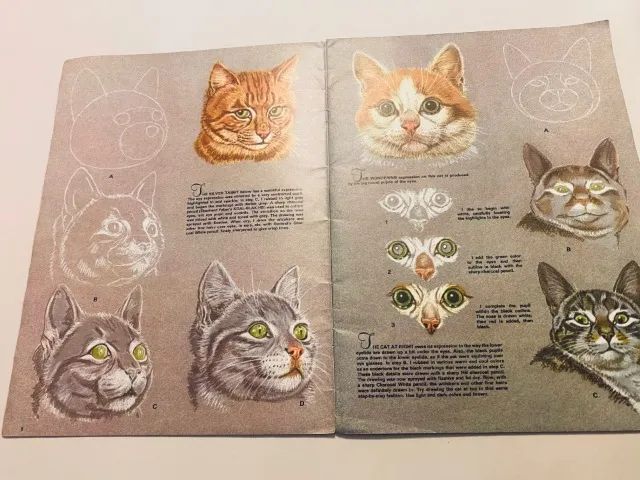 Coleção de 4 Revistas de Como Desenhar e Pintar usadas, em inglês Ver Desc - Foto 5