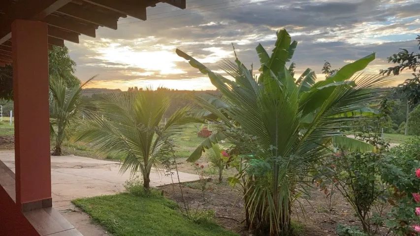 foto - Ribeirão Preto - Jardim Ângelo Jurca