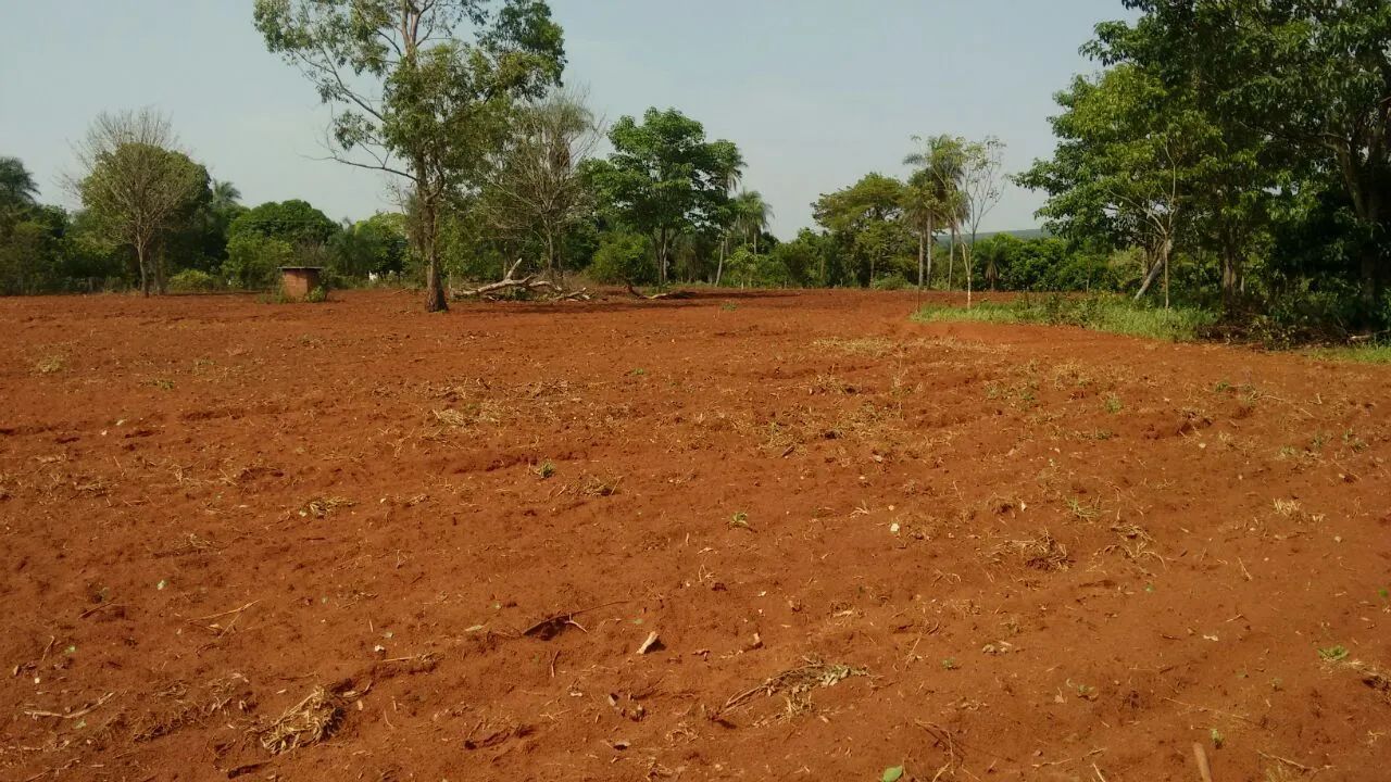 Vendo uma linda chácara no Rio Cachoeirão MS - Foto 2