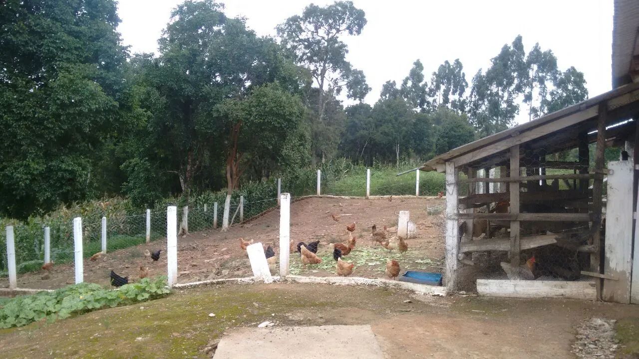 Chácara são José  - Foto 3