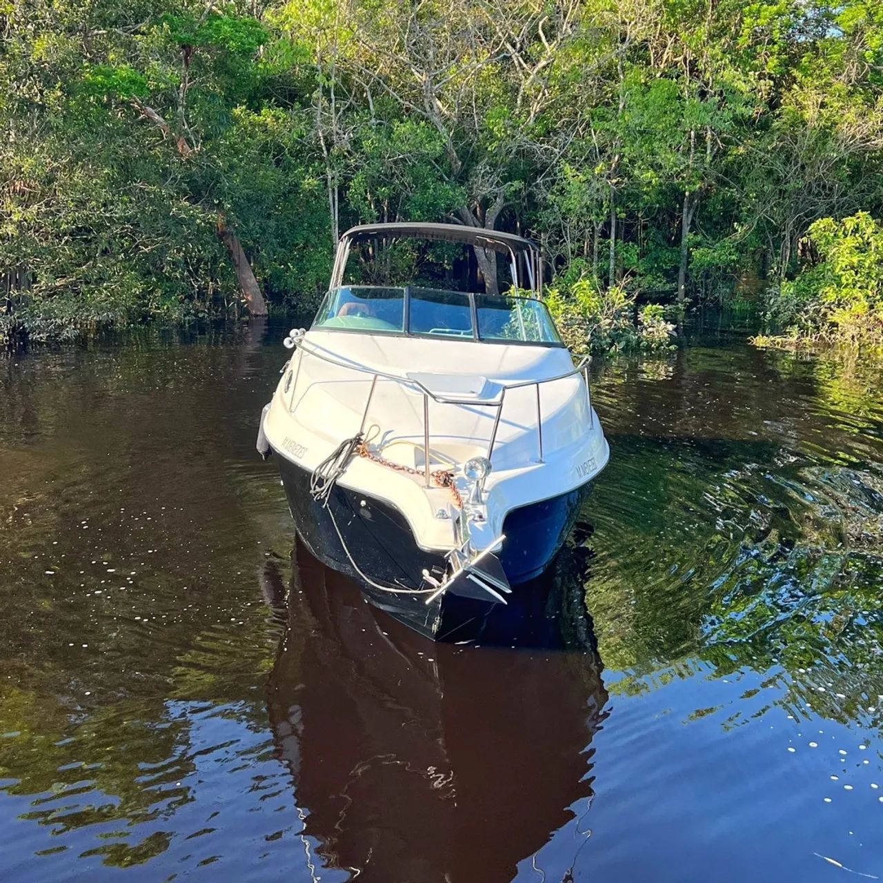 Lancha REGAL comodore 262  - Foto 2