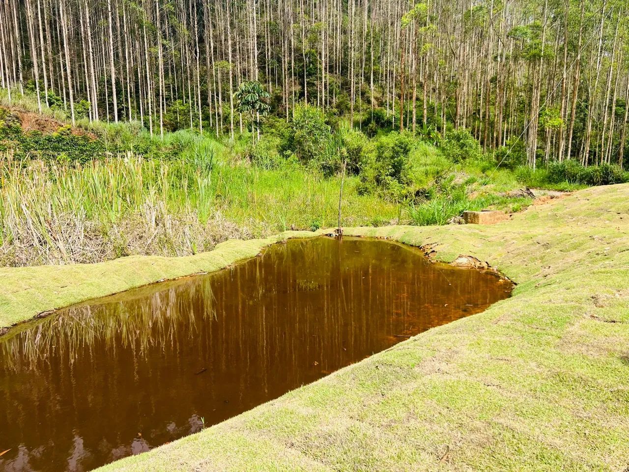 Linda Chácara com lago em Santa Teresa a 5 km do centro  - Foto 14
