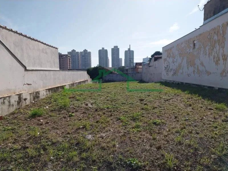 Terrenos e Chácaras - TERRENO RUA MORAES BARROS