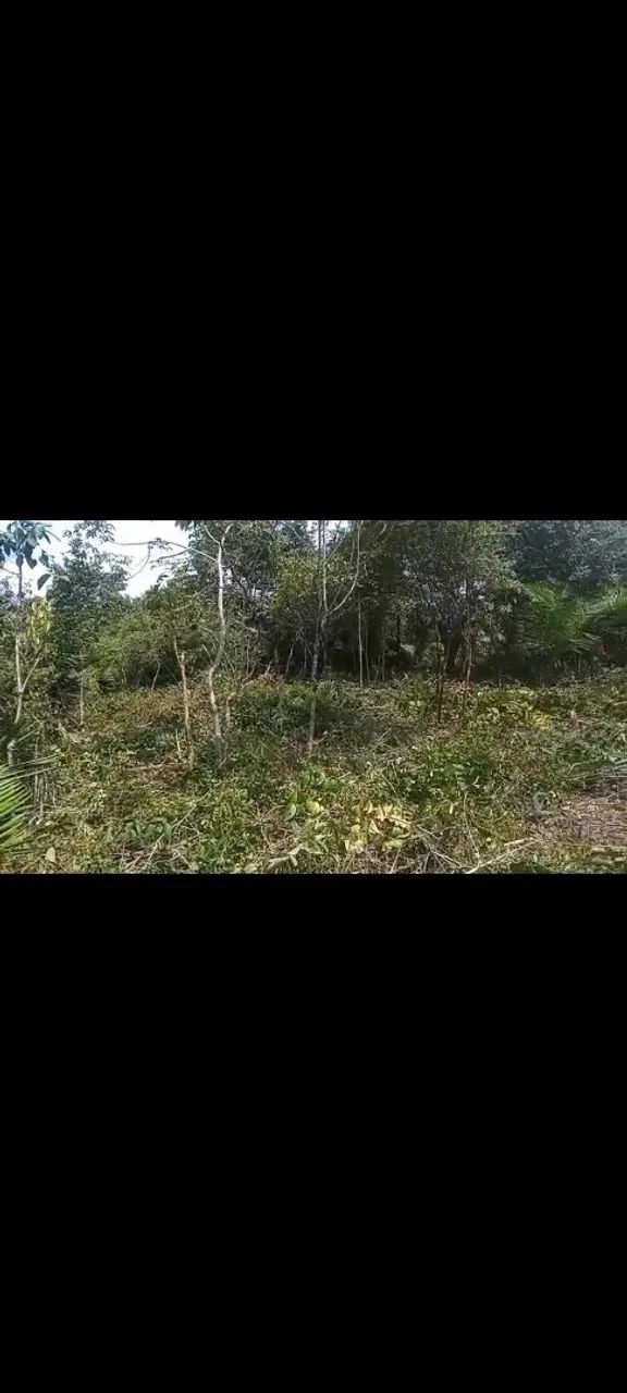 Terreno em Alter do Chão  - Foto 3