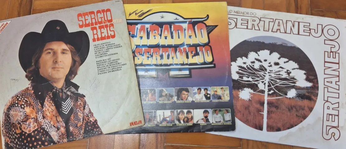 Disco de Vinil LP Sertanejo R$40 valor unitário - Foto 3