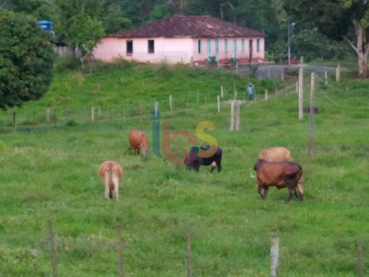 FAZENDA CONJUNTO STA. EULÁLIA - Foto 2